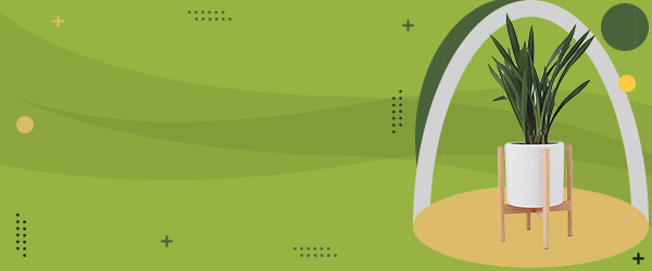 Books category deals