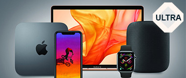 Hane, Jenkins and Quitzon